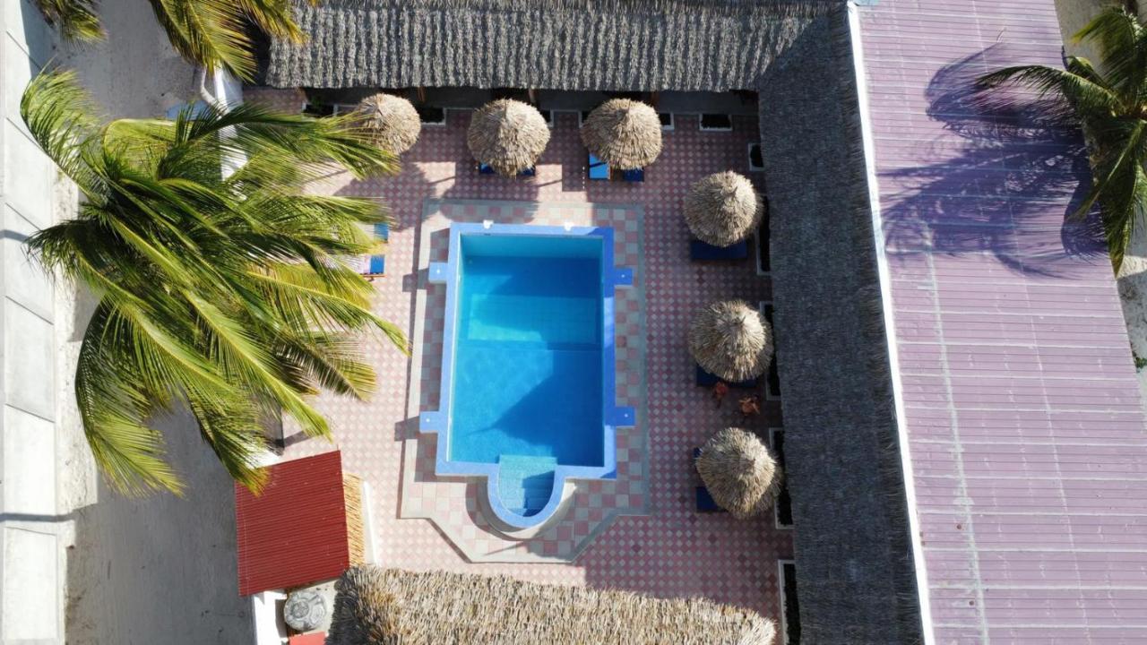 Amani Hotel Paje Extérieur photo